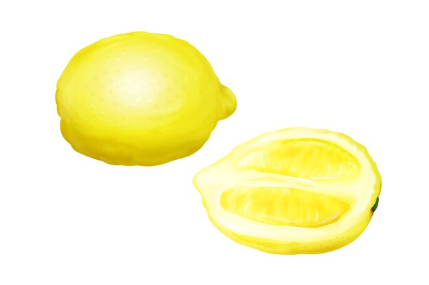 Lemon illustration of citrus fruit whole and half cut in slice