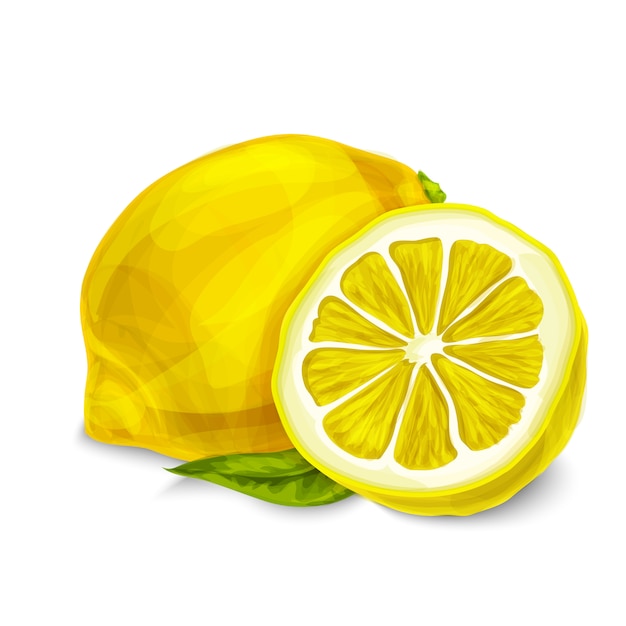 Lemon isolated illustration