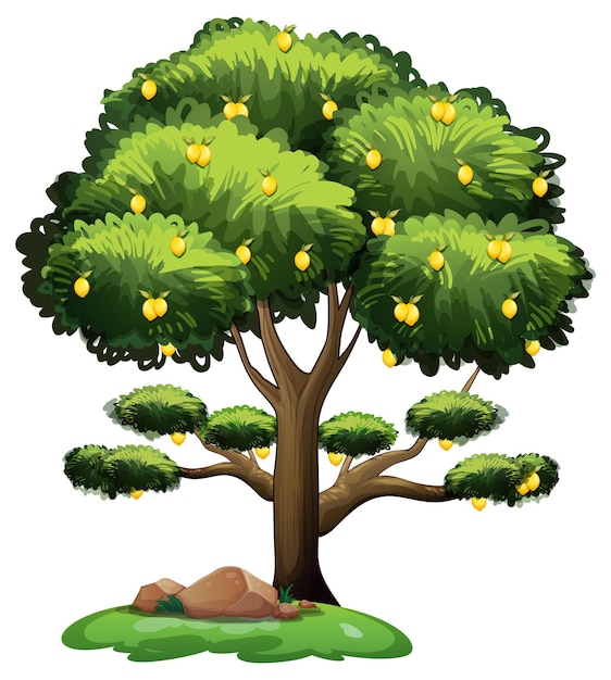 Free Vector lemon tree in cartoon style isolated on white background