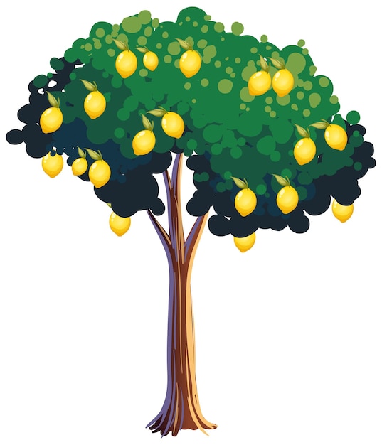 Free Vector lemon tree isolated on white background