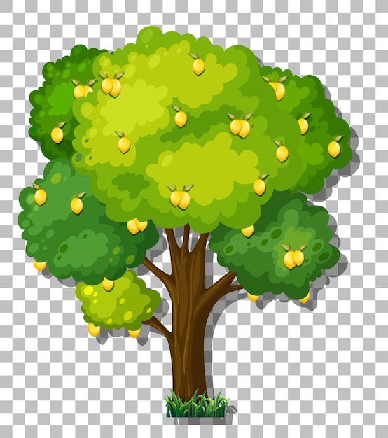 Free Vector lemon tree on transparent background