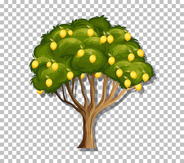 Free Vector lemon tree on transparent background