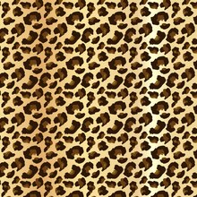 cheetah print backgrounds