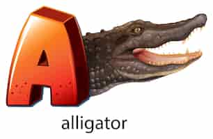 Free vector a letter a for alligator