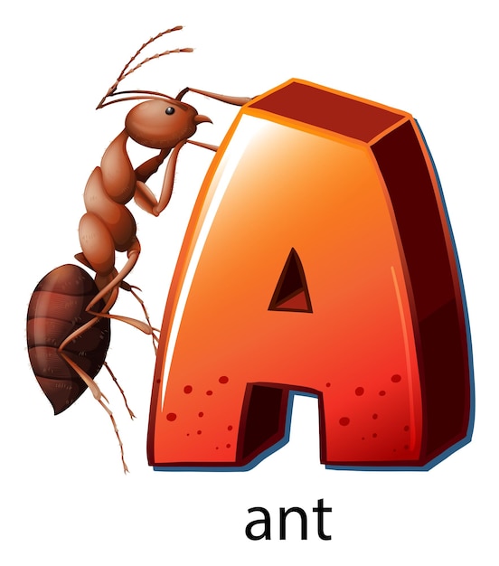 Free Vector a letter a for ant