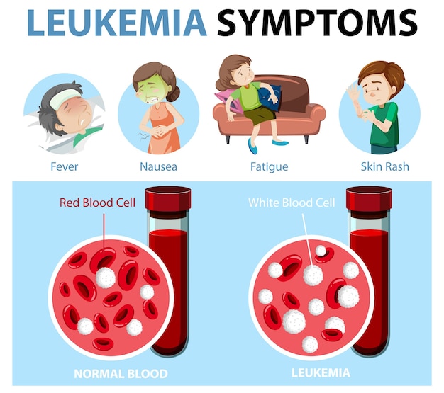 Free Vector leukemia symptoms cartoon style infographic