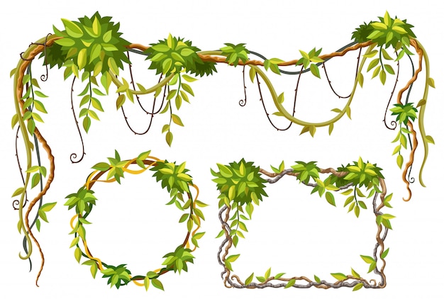 Free vector liana branches and leaves