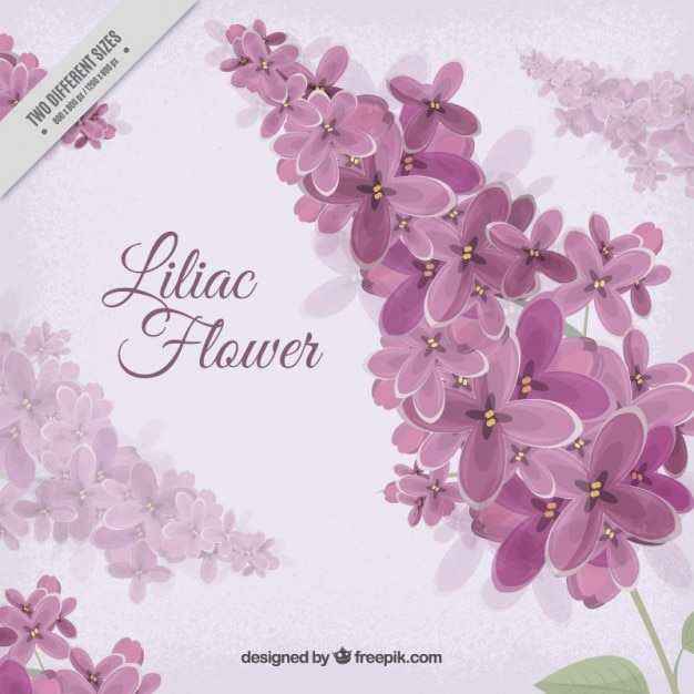 Free Vector liliac flowers background