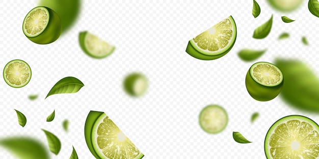 lime fruit on a transparent background