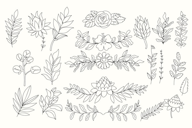 Line art hand drawn flowers collection