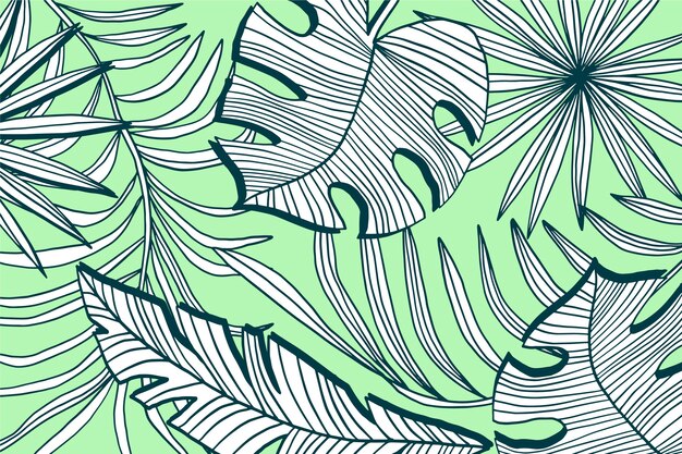 Linear tropical leaves with pastel color background