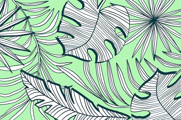 Linear tropical leaves with pastel color background