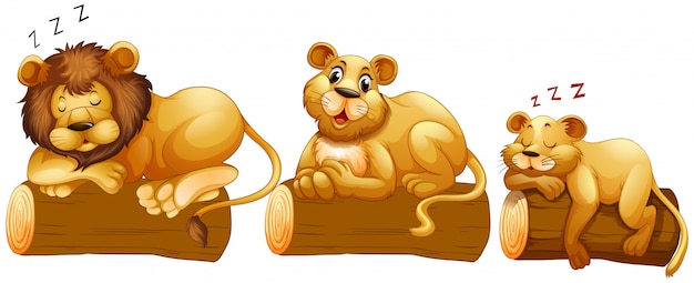 Free Vector lion family on the log