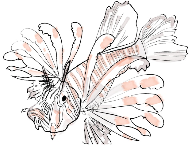 Free Vector lion fish vector watercolor red sea species illustration