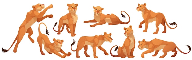 Lioness character wild cat in different poses