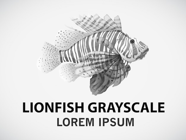 Free Vector lionfish