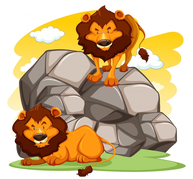 Free Vector lions cartoon illustration