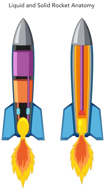 Free Vector liquid and solid rocket anatomy