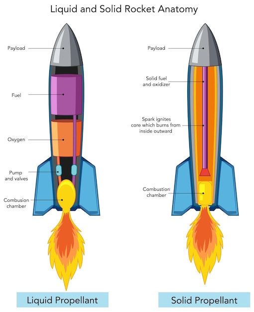 Liquid and solid rocket anatomy