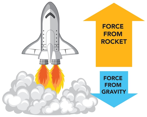 Free Vector liquid and solid rocket anatomy