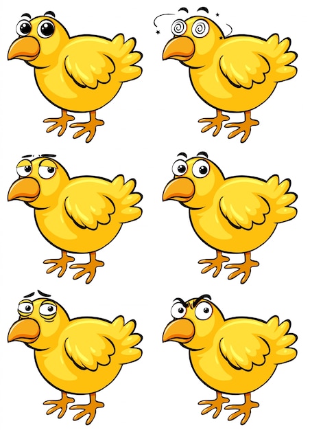 Free Vector little chicks with different emotions