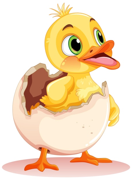 Free Vector little duck hatching from egg