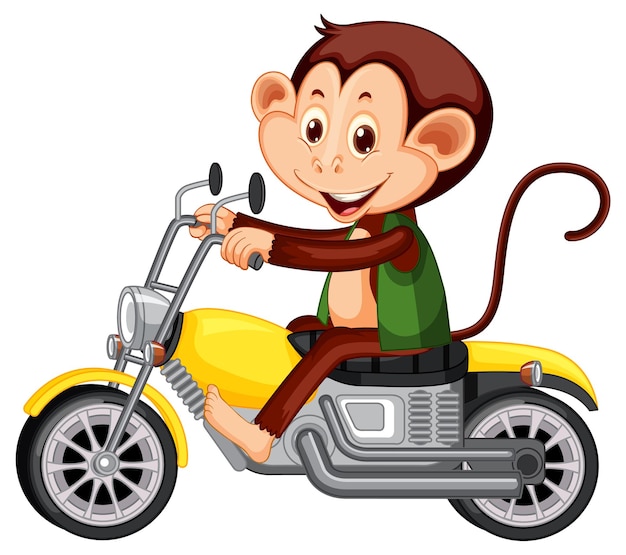 Little monkey riding motorcycle on white background