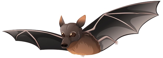 Little Red Bat in cartoon style on white background