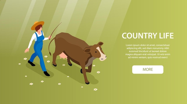 Free Vector livestock breeding country life isometric web banner with cattle farmer bringing dairy cow to graze