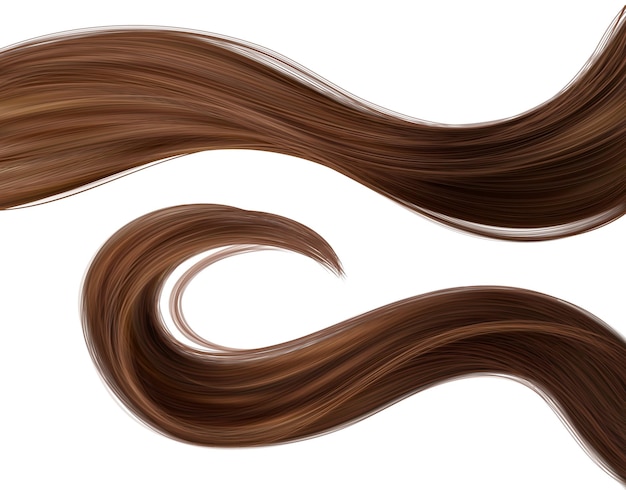 Free vector long brown hair strand lock