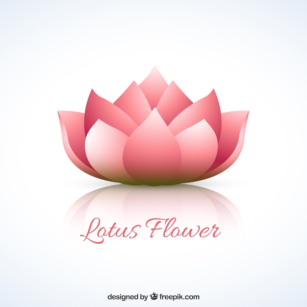 Free vector lotus flower