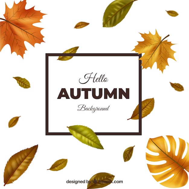 Free vector lovely autumn background with realistic design