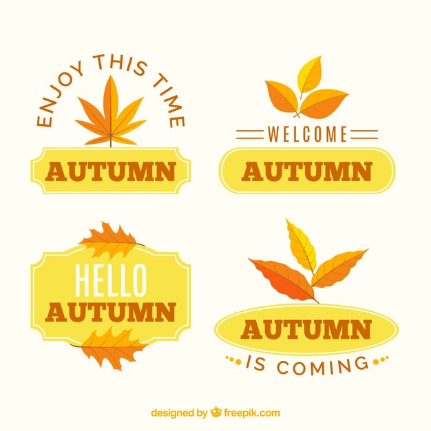 Lovely autumn label collection with flat design