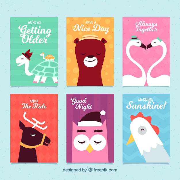 Lovely collection of animal cards