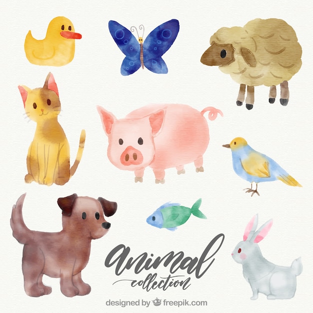 Lovely collection of watercolor animals