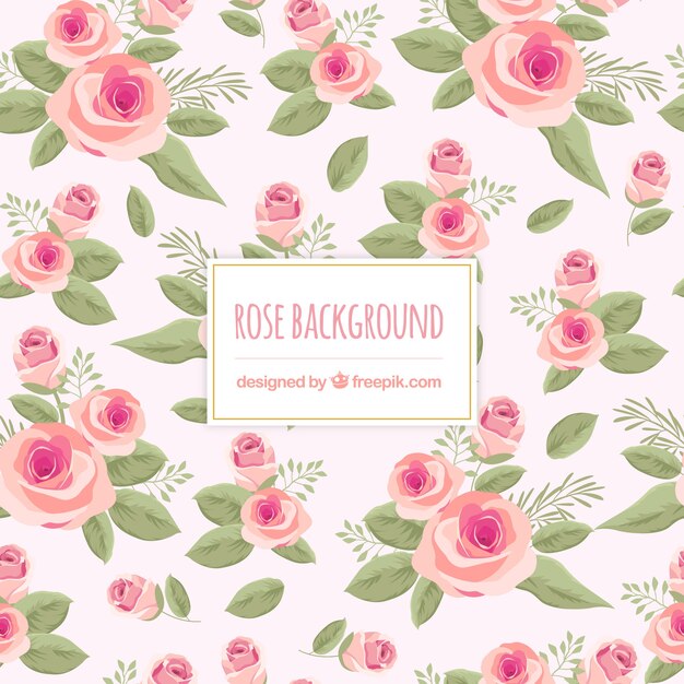 Lovely floral background with roses