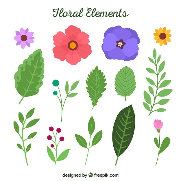 Free vector lovely floral element collection with flat design