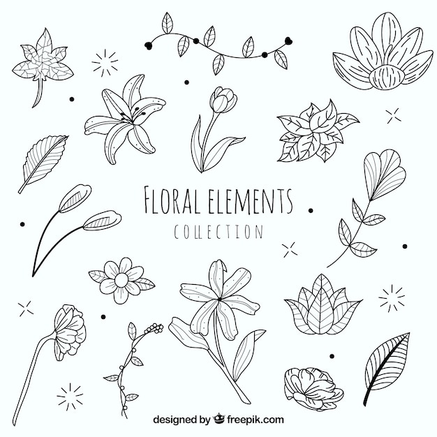 Free Vector lovely floral element collection with hand drawn style