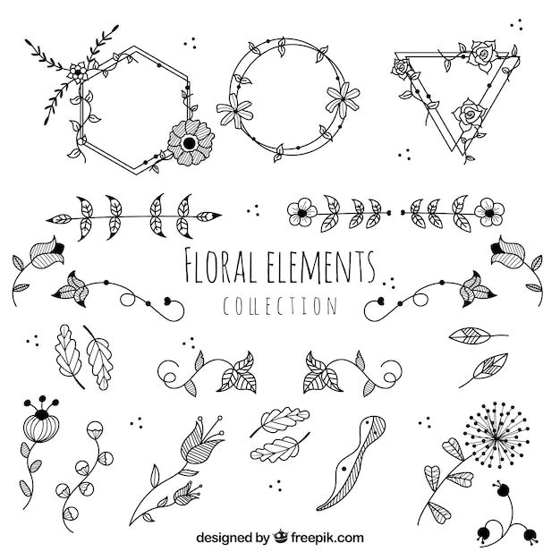 Lovely floral element collection with hand drawn style