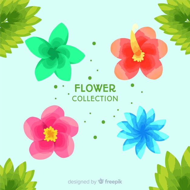 Lovely flower collection with flat design