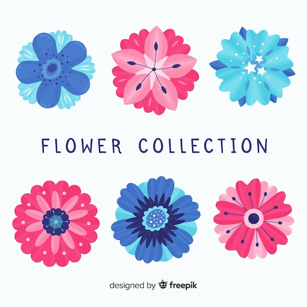 Free Vector lovely flower collection with flat design