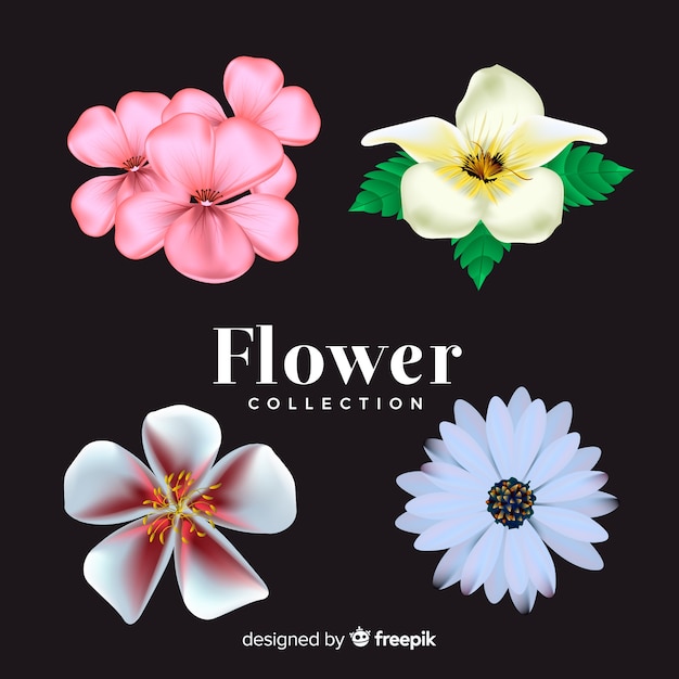 Lovely flower collection with realistic design