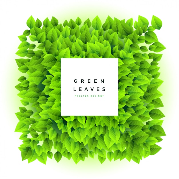 Free Vector lovely green leaves bunch frame background