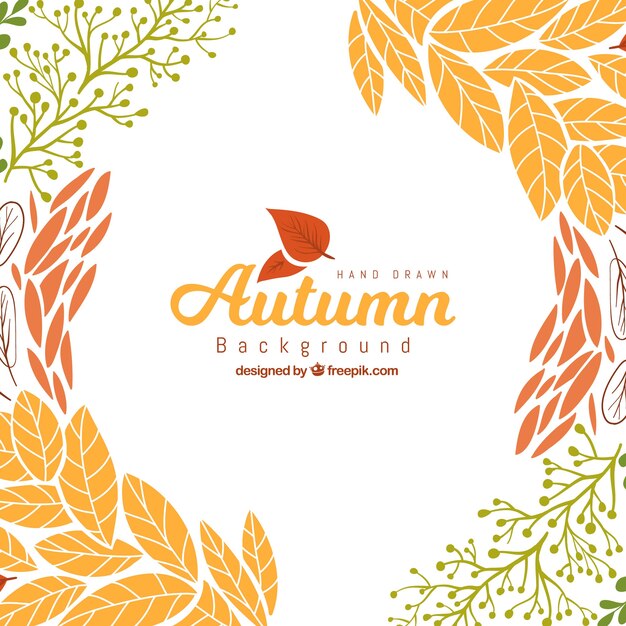 Lovely hand drawn autumn background