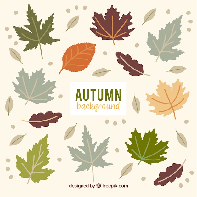 Free Vector lovely hand drawn autumn background