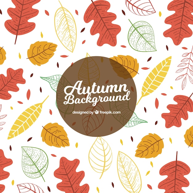 Lovely hand drawn autumn elements and leaves background