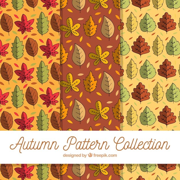 Lovely hand drawn autumnal pattern collection