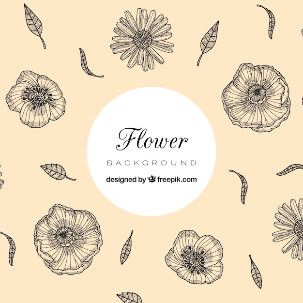 Lovely hand drawn floral background