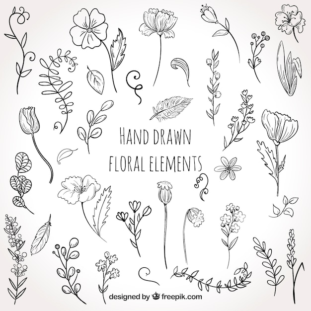 Lovely hand drawn floral element collection