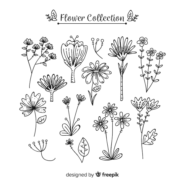 Lovely hand drawn flower collection